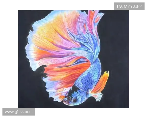 七彩素描：勾勒心中斑斓世界