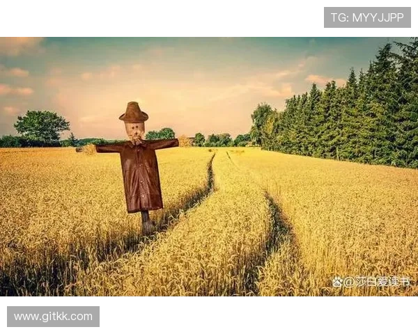 《麦田》：一场关于青春、梦想与现实的文艺回响