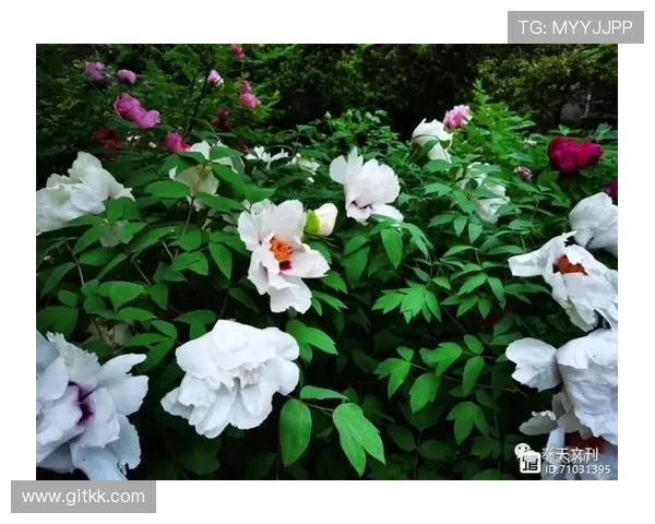 孝子：古韵流芳，新风永传